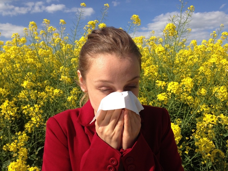 What’s Allergic Rhinitis and Understanding Its Treatment?