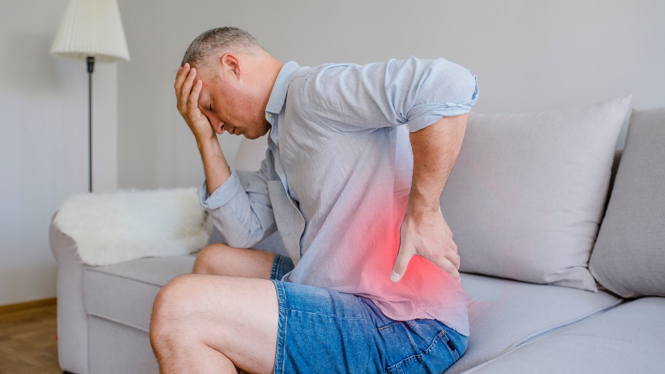 How Chiropractor Can Help You Get Rid of Back Pain?