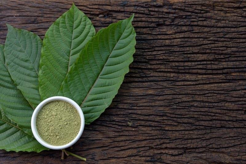 A Journey Through Kratom: Origins, Uses, and Varieties